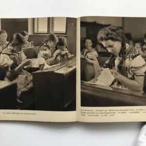 Lidé z Javorníka, Ferdinand Bučina