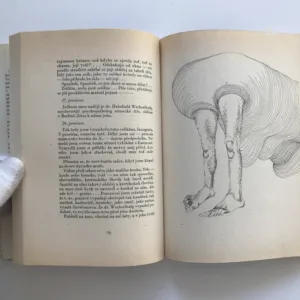 Utrpení knížete Sternenhocha, Ladislav Klíma, Karel Nepraš