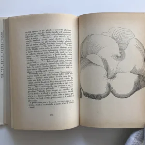 Utrpení knížete Sternenhocha, Ladislav Klíma, Karel Nepraš