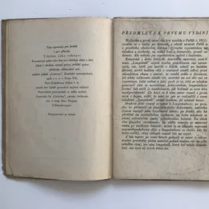 Loupežník, Karel Čapek