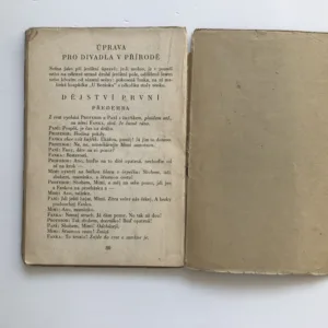 Loupežník, Karel Čapek