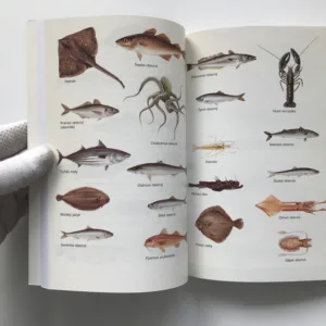 Rybí receptář, Miloš Štěpnička