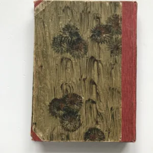 Osudy dobrého vojáka Švejka v ruském zajetí, Karel Vaněk, Josef Lada