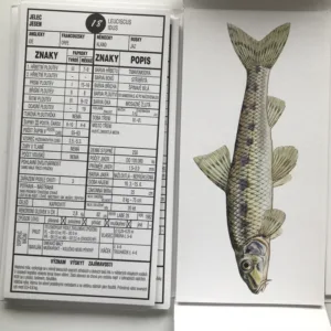 Ryby, Otto Pospíšil, Květoslav Hísek