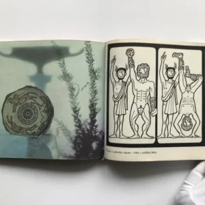 Motivy z amfor, Jiří Winter Neprakta