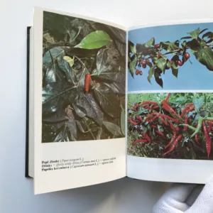 Koření pro každé vaření, Dagmar Lánská