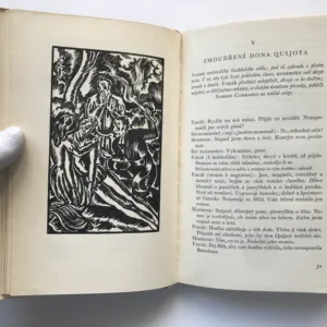 Zmoudření Dona Quijota, Viktor Dyk