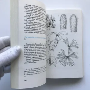 Pokojové rostliny, Karel Hieke