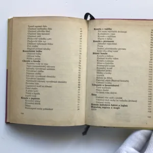 Kouzla nejsou žádné čáry, Miroslav Švadlenka