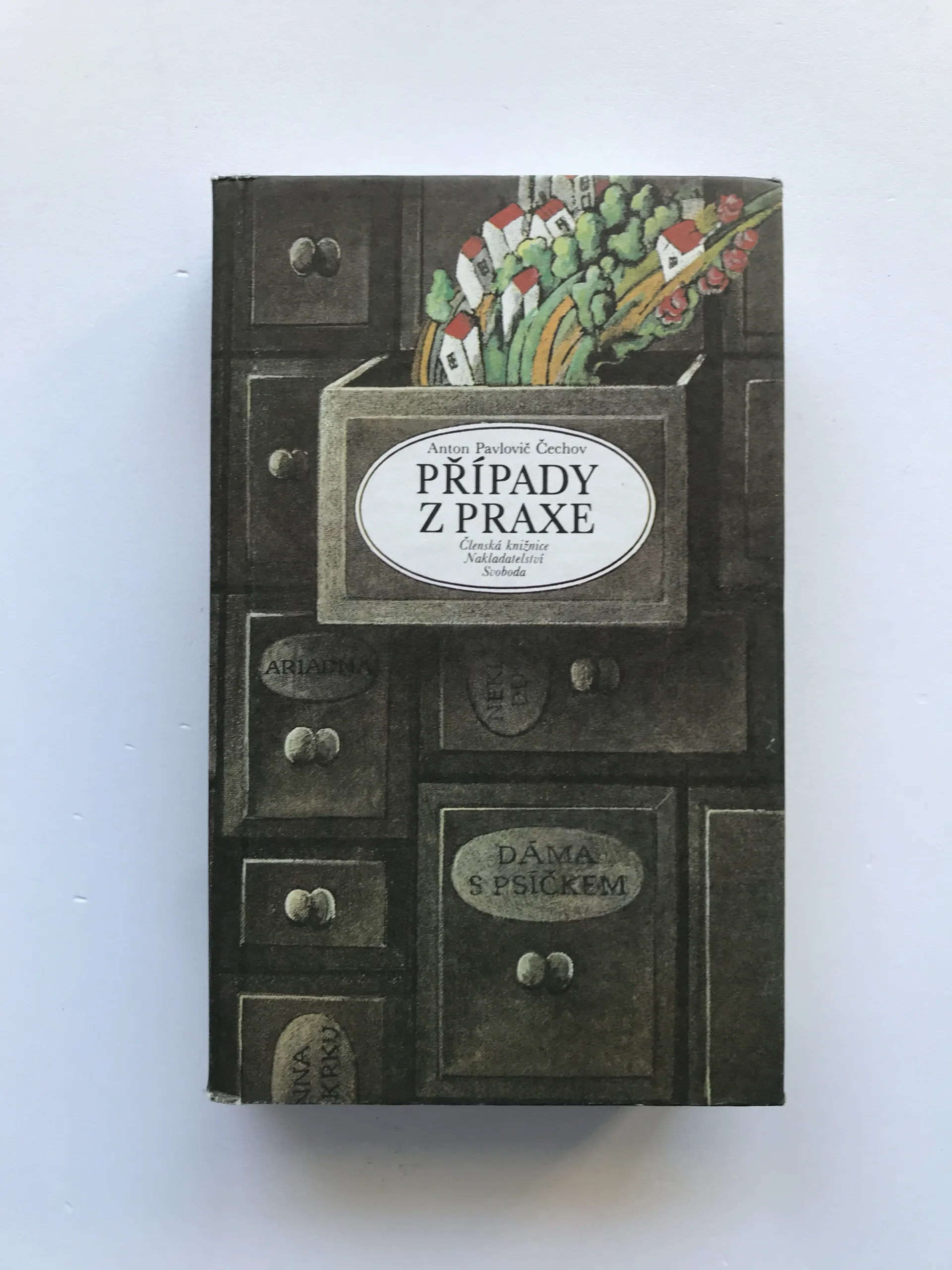 Případy z praxe, Anton Pavlovič Čechov