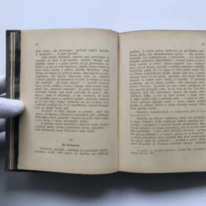 Menší cesty, Jan Neruda