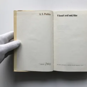 V bouři zrál můj hlas, Alexandr Sergejevič Puškin