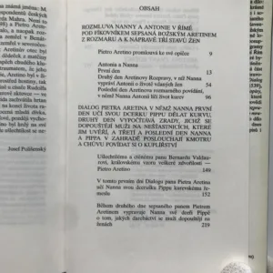 Rozpravy o mravech hříšných kurtizán, Pietro Aretino