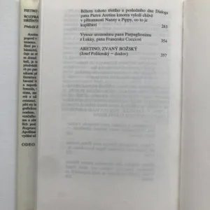 Rozpravy o mravech hříšných kurtizán, Pietro Aretino