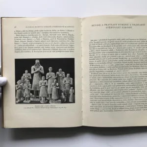 Nejstarší dějiny Přední Asie a Indie, Bedřich Hrozný