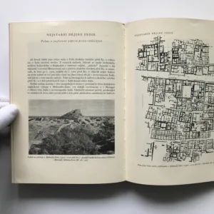 Nejstarší dějiny Přední Asie a Indie, Bedřich Hrozný