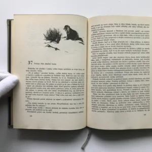 Zálesák Rolf, Ernest Thompson Seton