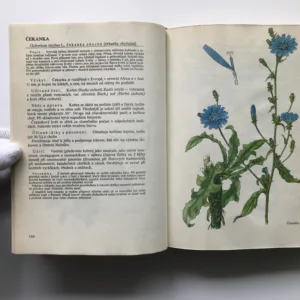 Naše rostliny v lékařství, Jaroslav Korbelář, Zdeněk Endris, Jindřich Krejča