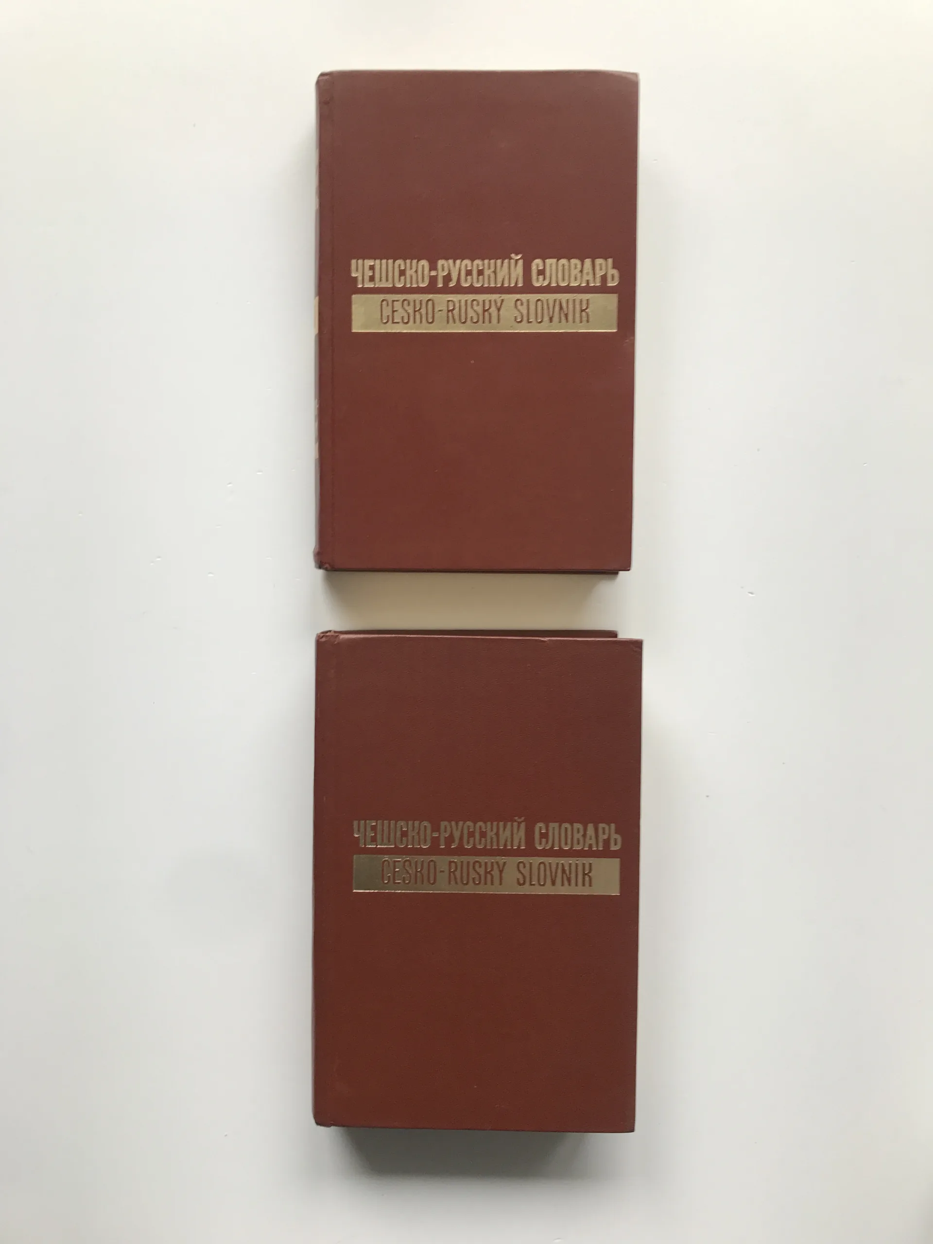 Česko-ruský slovník 1-2