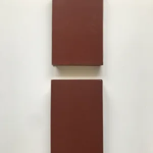 Česko-ruský slovník 1-2