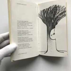 Opožděná chůze k duze, Draga Zlatníková