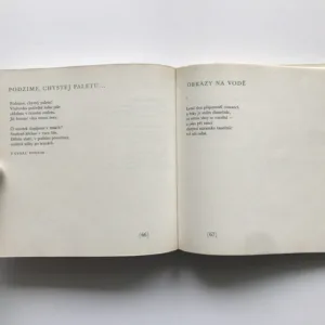 Tiše vím, František Branislav