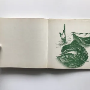 Tiše vím, František Branislav