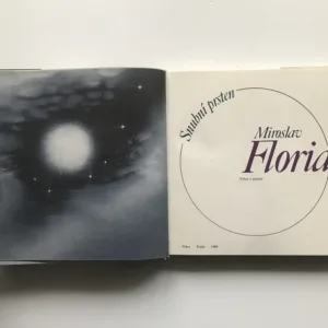 Snubní prsten (věnování autora), Miroslav Florian