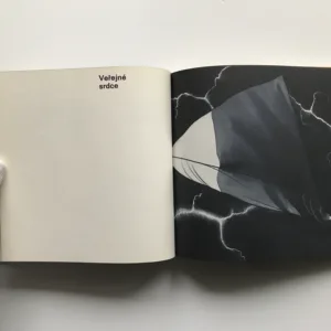 Snubní prsten (věnování autora), Miroslav Florian