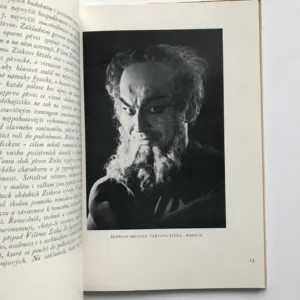 Národní umělec Vilém Zítek, Hanuš Thein