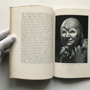 Národní umělec Vilém Zítek, Hanuš Thein