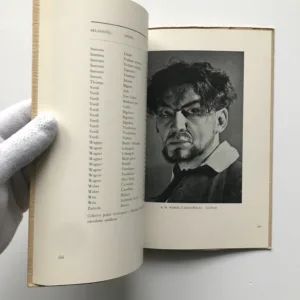 Národní umělec Vilém Zítek, Hanuš Thein