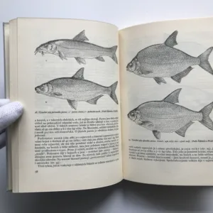 Život našich řek, Rudolf Šrámek-Hušek