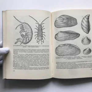 Život našich řek, Rudolf Šrámek-Hušek