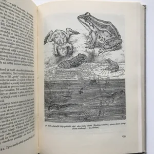 Život našich řek, Rudolf Šrámek-Hušek