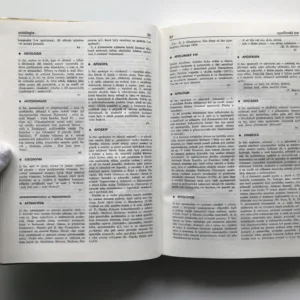 Slovník literární teorie, Štěpán Vlašín, kolektiv autorů