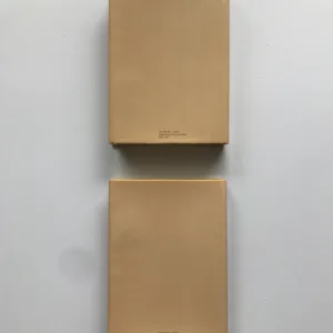 Osudy dobrého vojáka Švejka za Světové války 1-4, Jaroslav Hašek