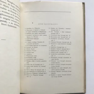 Drzwi Gnieznienskie, Tadeusz Dobrzeniecki