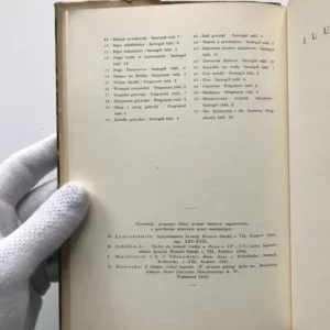 Tryptyk z Plawna, Tadeusz Dobrzeniecki