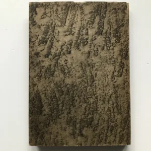 Tryptyk z Plawna, Tadeusz Dobrzeniecki