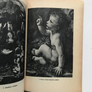 Leonardo da Vinci (K 500. výročiu narodenia)