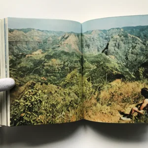 Očarovaná Havaj, Miloslav Stingl