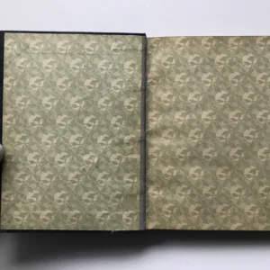 Pan učitel / Divá Bára / Chyže pod horami, Božena Němcová