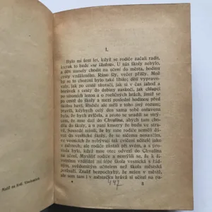 Pan učitel / Divá Bára / Chyže pod horami, Božena Němcová