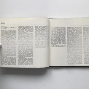 Krížikové vyšívanie, Alžbeta Lichnerová