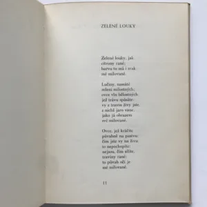 Portugalské lásky, Luis de Camoes