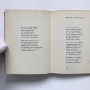 Portugalské lásky, Luis de Camoes