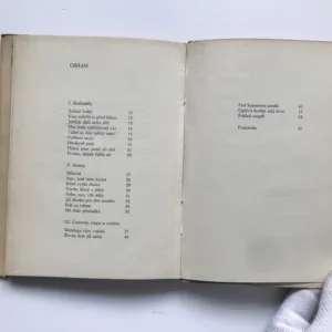 Portugalské lásky, Luis de Camoes