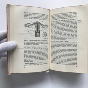 Kniha o manželství, Hannah M. Stoneová, Abraham Stone