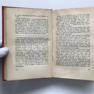 Cesta zpátky, Erich Maria Remarque